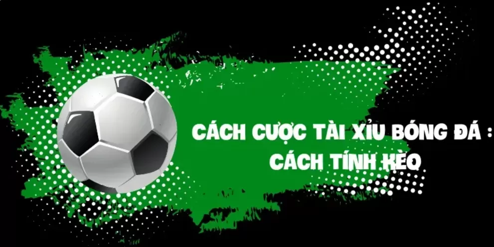 Cách cược tài xỉu bóng đá Cách tính kèo